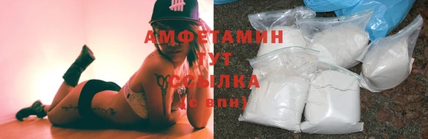 гидра Вязники