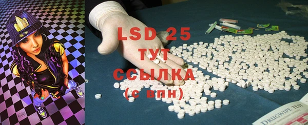 ПСИЛОЦИБИНОВЫЕ ГРИБЫ Осинники