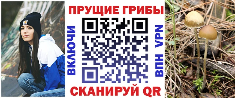 мориарти официальный сайт  Задонск  Псилоцибиновые грибы Magic Shrooms 